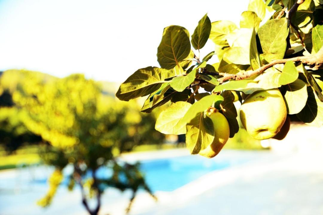 Pir Efes Konaklari İzmir Buitenkant foto