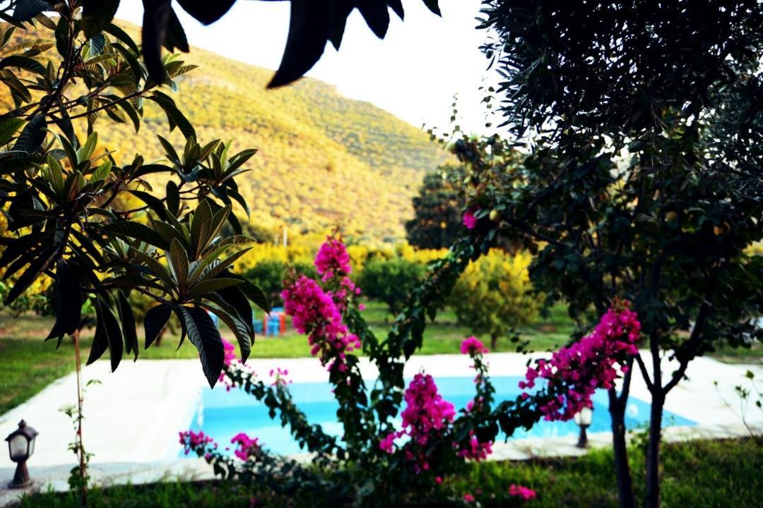 Pir Efes Konaklari İzmir Buitenkant foto