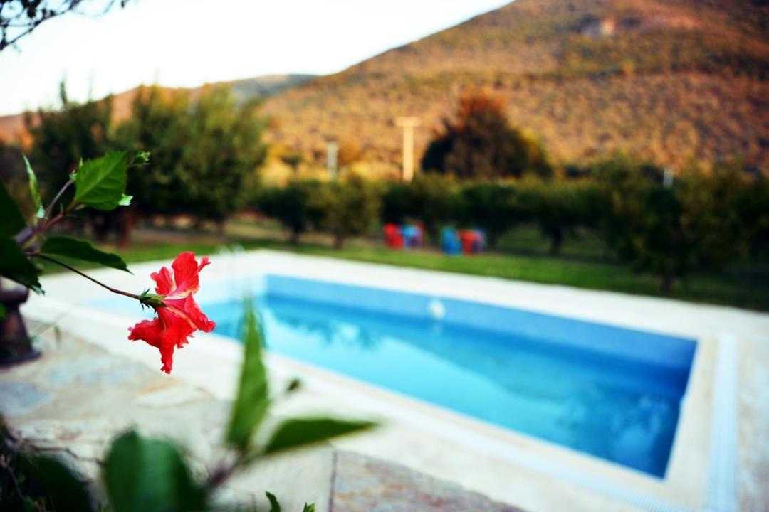 Pir Efes Konaklari İzmir Buitenkant foto